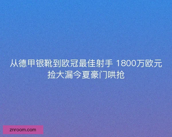从德甲银靴到欧冠最佳射手 1800万欧元捡大漏今夏豪门哄抢