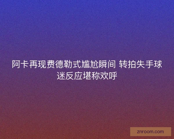 阿卡再现费德勒式尴尬瞬间 转拍失手球迷反应堪称欢呼 阿卡再现费德勒式尴尬瞬间 转拍失手球迷反应堪称欢呼